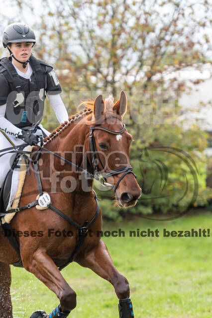 Goldene Schärpe 2020 - Pferde