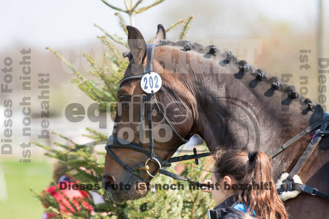 RV Seydlitz Kamp (06.+07.04.2019)