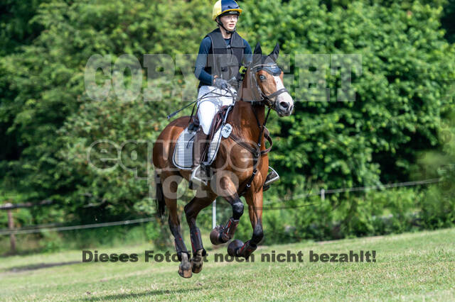 Goldene Schärpe 2021 - Ponys