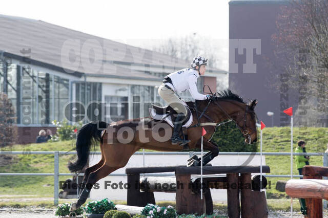 Eventing Langenfeld 2018