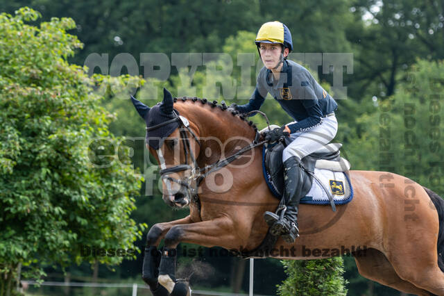 Goldene Schärpe 2021 - Ponys