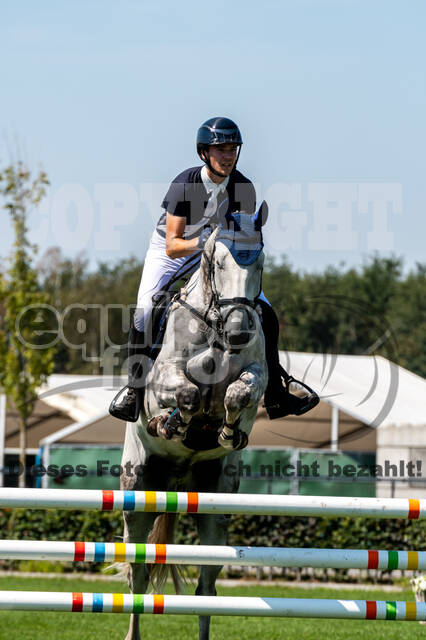 Kronenberg - De Peelbergen (August 2020)