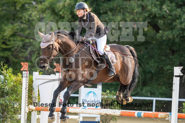 RFV Dinslaken-Hiesfeld (Herbstturnier)