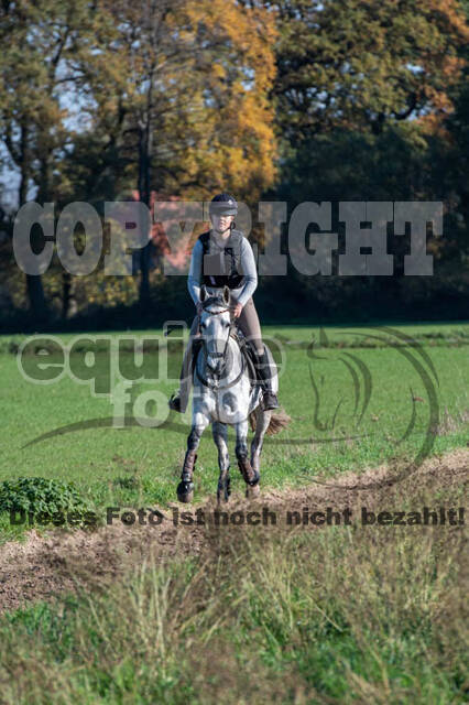 Vielseitigkeitslehrgang mit Jürg Kurbel (9.+10.11.2019)