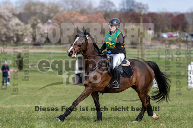 Vielseitigkeitsturnier RV Seydlitz Kamp (03.04.2022)