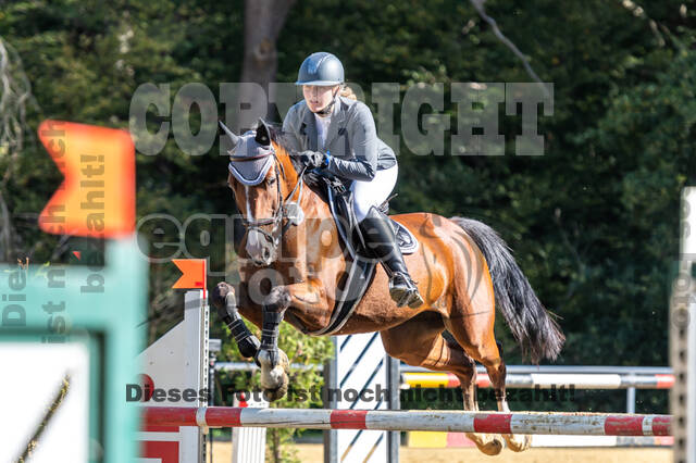 RFV Dinslaken-Hiesfeld (Herbstturnier)