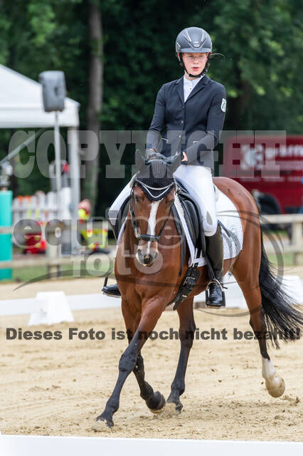 Goldene Schärpe 2021 - Ponys