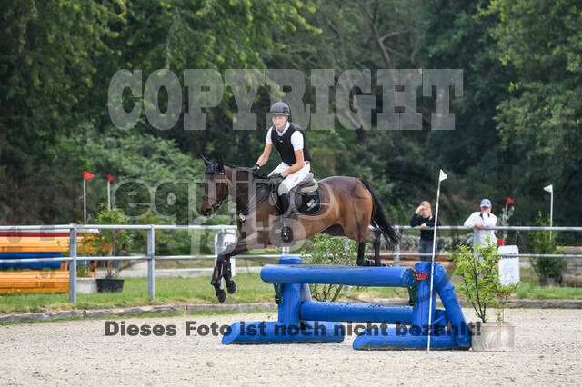 Late-Entry-Vielseitigkeit Langenfeld (11.+13./14.06.2020)