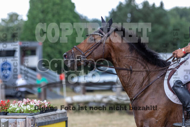 Late-Entry Vielseitigkeit Hamminkeln/Wesel (01.+02.08.2020)