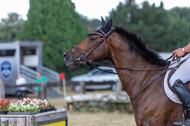Late-Entry Vielseitigkeit Hamminkeln/Wesel (01.+02.08.2020)
