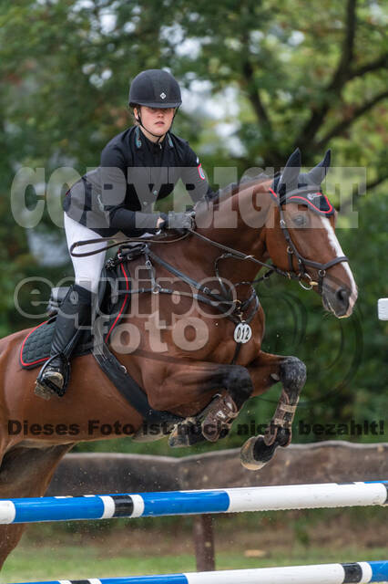 Vielseitigkeit RSV Wesel Obrighoven (26.+27.09.2020)