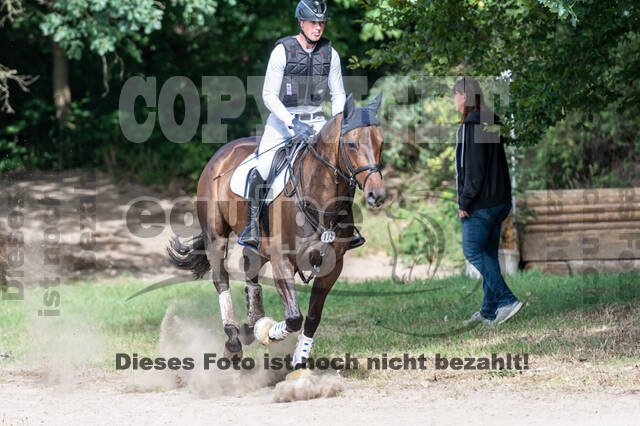 Late-Entry-Vielseitigkeit Langenfeld (11.+13./14.06.2020)