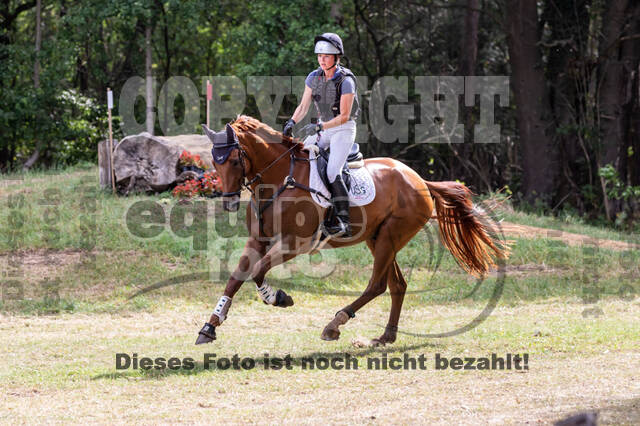 Late-Entry Vielseitigkeit Hamminkeln/Wesel (01.+02.08.2020)