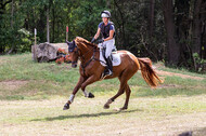 Late-Entry Vielseitigkeit Hamminkeln/Wesel (01.+02.08.2020)