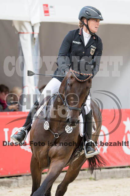 FEI European Championship Eventing 2017