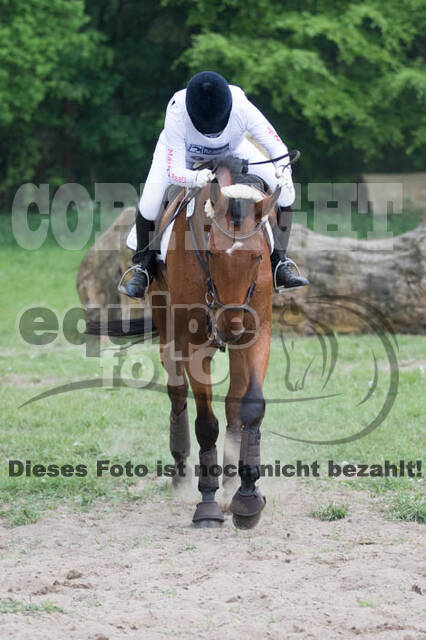 Vielseitigkeitsturnier ZRFV von Lützow Hamminkeln