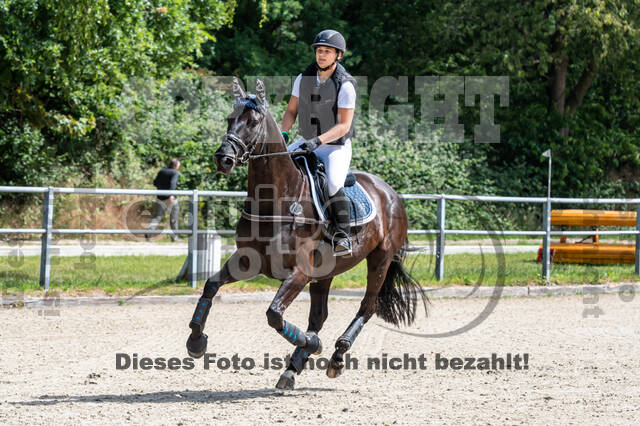 Late-Entry-Vielseitigkeit Langenfeld (11.+13./14.06.2020)