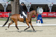 FEI European Championship Eventing 2017