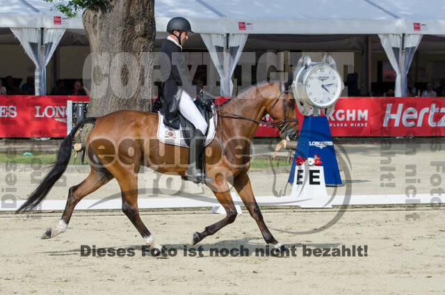 FEI European Championship Eventing 2017