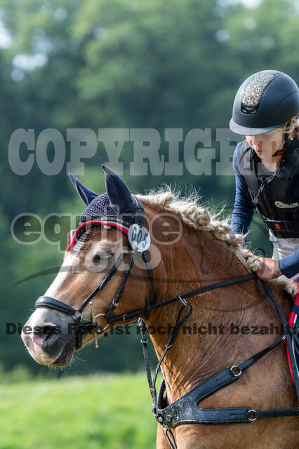 Goldene Schärpe 2021 - Ponys