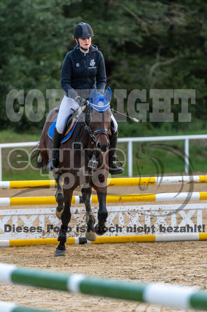 RFV Dinslaken-Hiesfeld (Herbstturnier)