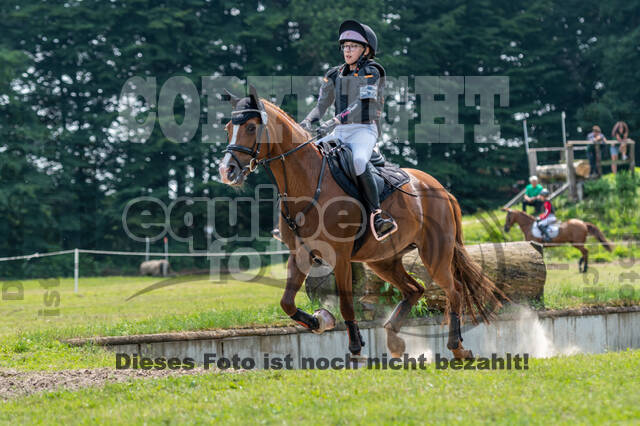 Goldene Schärpe 2021 - Ponys