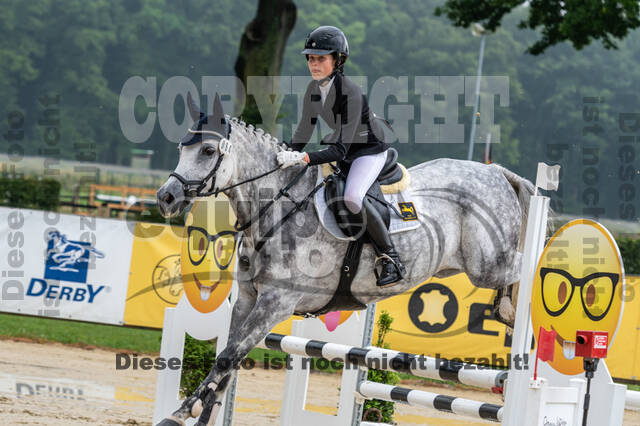 Goldene Schärpe 2021 - Ponys