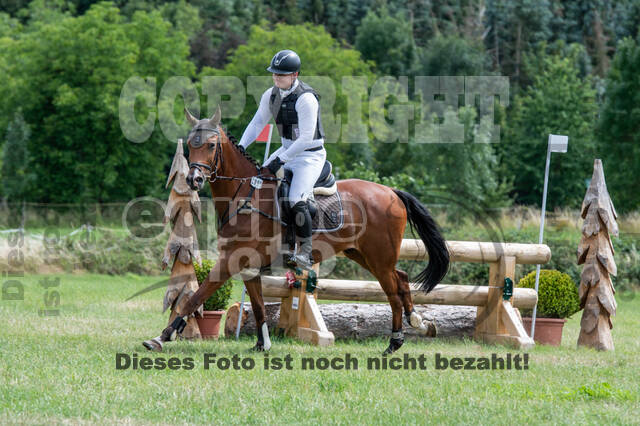 Bonn-Rodderberg Late-Entry-Vielseitigkeit (30.06.2020)