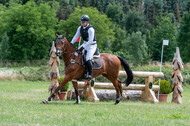 Bonn-Rodderberg Late-Entry-Vielseitigkeit (30.06.2020)