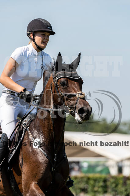 Kronenberg - De Peelbergen (August 2020)