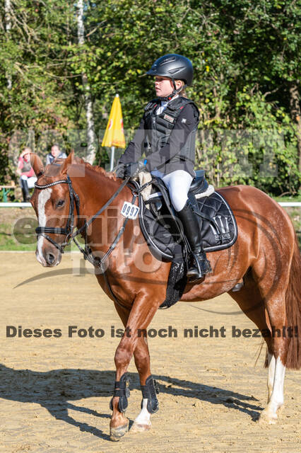 RFV Dinslaken-Hiesfeld (Herbstturnier)