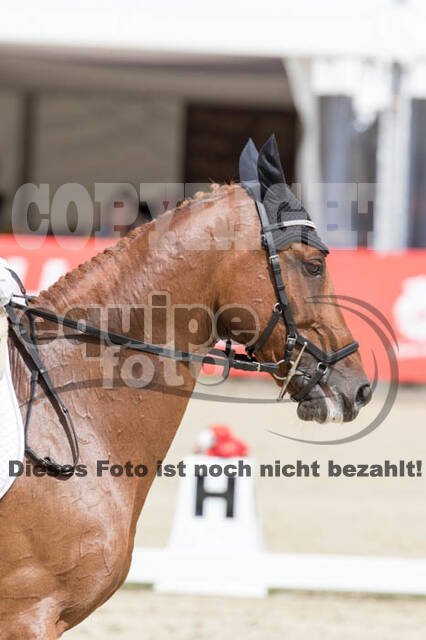 FEI European Championship Eventing 2017