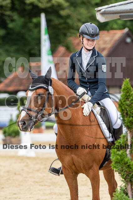 Goldene Schärpe 2021 - Ponys