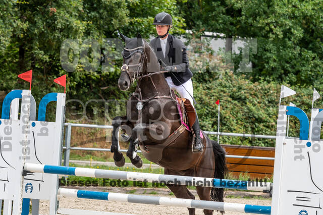 Late-Entry-Vielseitigkeit Langenfeld (06.+07.07.2020)