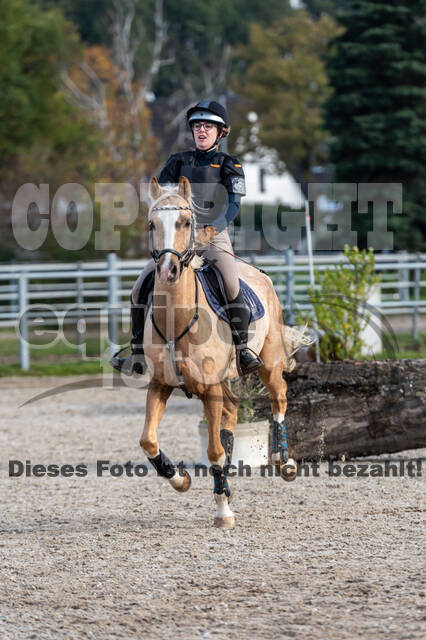 IGV Lehrgang der Sieger der Cups mit Frank Ostholt