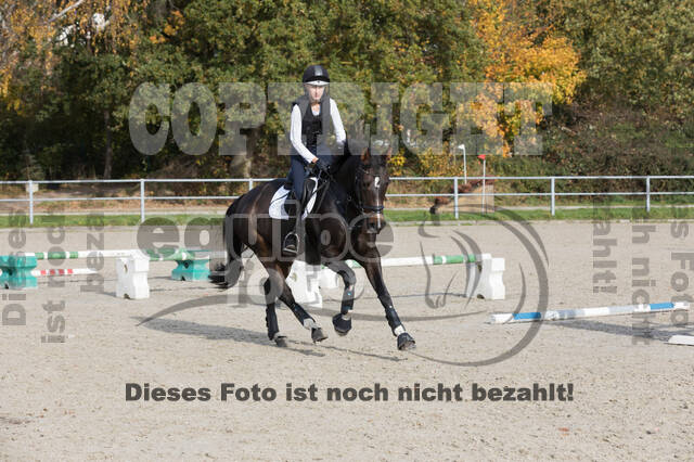 IGV Lehrgang der Sieger der Cups mit Frank Ostholt