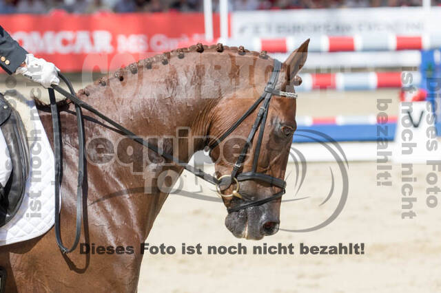 FEI European Championship Eventing 2017