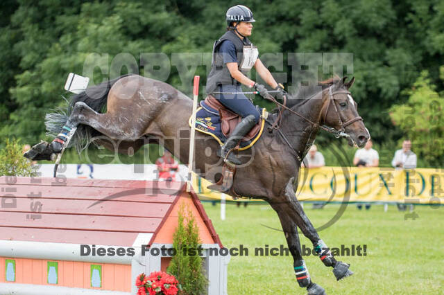 FEI European Championship