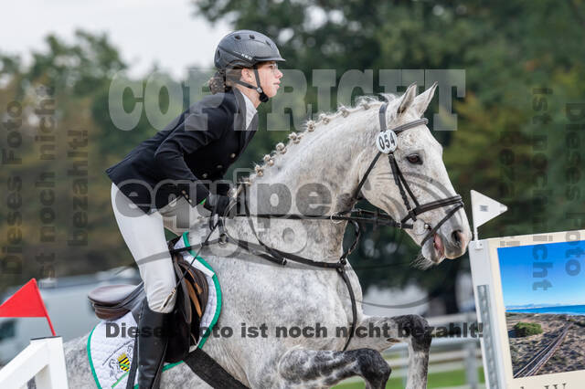 Goldene Schärpe 2020 - Pferde