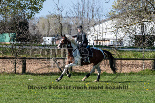 Geländetraining ZRFV Hamminkeln (24+25.04.2021)