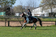 Geländetraining ZRFV Hamminkeln (24+25.04.2021)