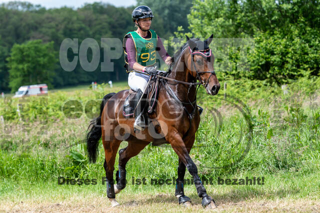 Westerstede Horse Trials (10.-13.06.2021)