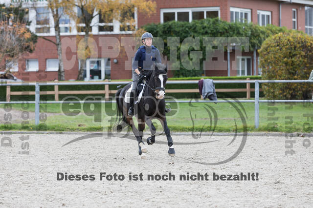 IGV Lehrgang der Sieger der Cups mit Frank Ostholt