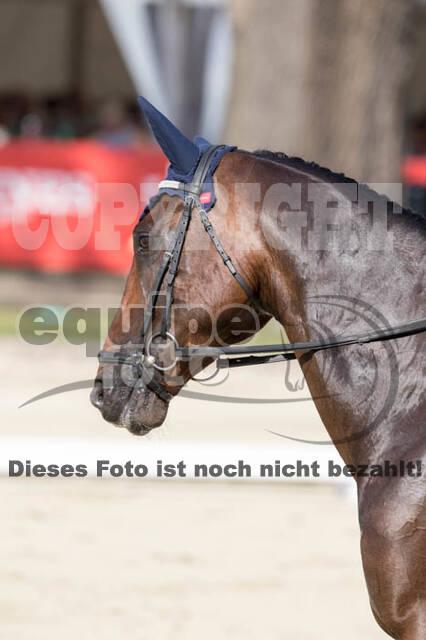 FEI European Championship Eventing 2017