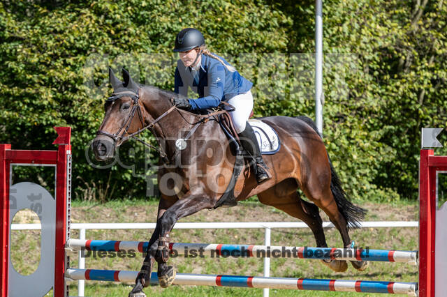 RFV Dinslaken-Hiesfeld (Herbstturnier)
