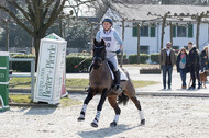 Eventing Langenfeld 2018