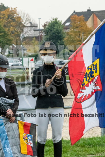 Goldene Schärpe 2020 - Pferde