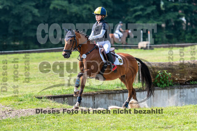 Goldene Schärpe 2021 - Ponys