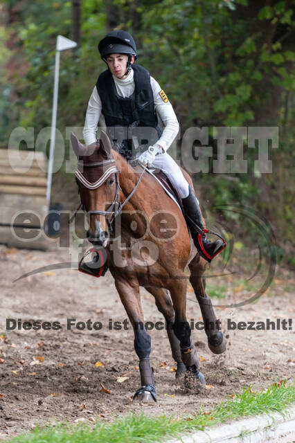 Goldene Schärpe 2020 - Pferde