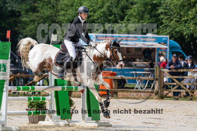 Goldene Schärpe 2021 - Ponys